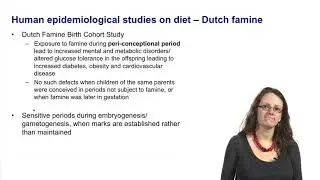 5.4 The Dutch Famine human epidemiological studies and the Developmental Origins of Adult Health