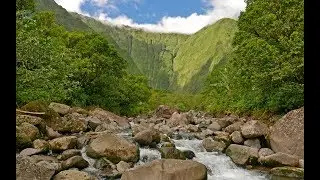 Wai'ale'ale (Blue Hole) Kauai Hike - 2017