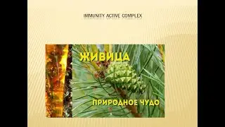 Мицеллайн. Е.В Корсун о напитке Immuno Activ Complex Micelline