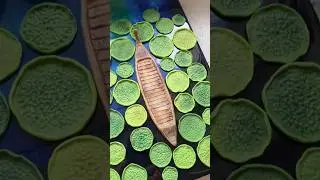 3D фото ваших путешествий