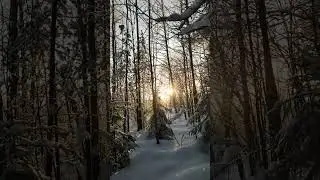 Декабрьское солнце, такое редкое сейчас. 