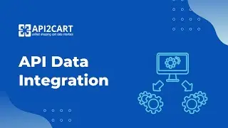 API Data Integration in the eCommerce Sphere