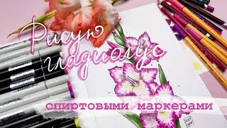 Как нарисовать гладиолус | Скетчинг маркерами