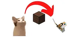 FNF | Pop cat in Minecraft Note block?