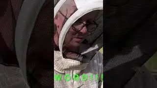 😂Bee Fail:The Bees Swarm Juicy Fruit Breath. #fail #bees #homesteading#beekeeping