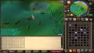 Old School Runescape Money Making Guide | 600k+ an hour |