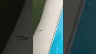 Пиявка?! Бисерово озеро.