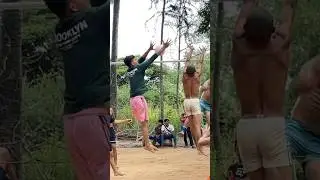 #shorts #volleyball