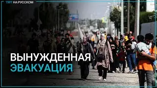 Палестинцы пешком эвакуируются в безопасные районы Газы