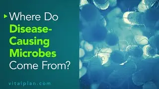Where Do Disease-Causing Microbes Come From? Vital Plan Webinar Short