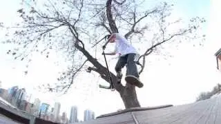 PLUS TAX hd clips