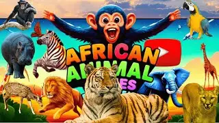 African Animal Names & Sounds For Kids to Learn | Animal Names