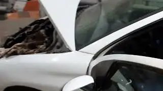 2019 11 10 02 40 22  Заметки из истории одного Пежо 206 1.6 TU5JP  7