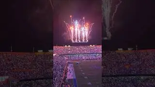 FLORIDA GATORS FIREWORKS WON'T BACK DOWN