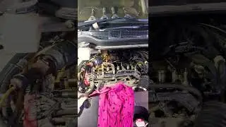 Размер зазоров, при регулировка клапанов, Honda элизион