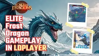 Call of Dragons: ELITE Frost Dragon Hunt in LDPlayer – Watch Now!