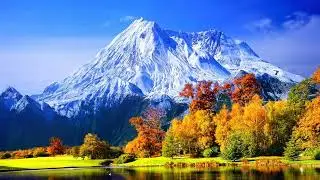 Mike Oldfield. The Top of the Morning