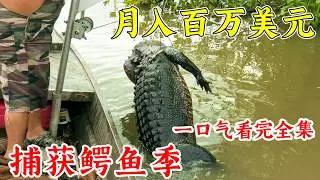 沼澤人第14季全集，狩獵一條500斤的巨鱷，拉起來後手都酸痛了！紀錄片