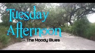 Moody Blues - Tuesday Afternoon LYRICS