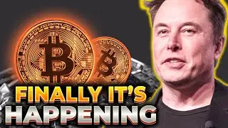 These Cryptocurrencies Will Replace The US Dollar!