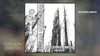 Woodland Spells - Key II: Undergrowth (full album, 2022)