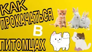 Как быстро прокачаться в симуляторе питомцев в роблокс!