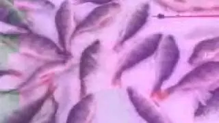 Печенеги 2