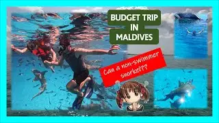 Snorkeling in Maldives : A Bespectacled Non-swimmer's experience 🏊💕