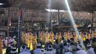 Traditional balinese woman dance