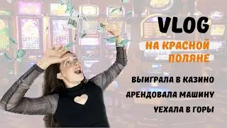 VLOG | What to do in Krasnaya Polyana? | Birthday party at the glade