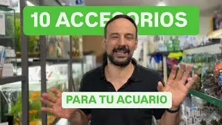 El 🎁 regalo para un ACUARISTA ¿que producto usarías en tu pecera? ¿que te gustaría que te regalen?