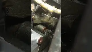 снятие компрессора Даф 105