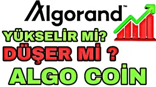 ALGO YÜKSELİR Mİ? ALGORAND YÜKSELİR Mİ? BURADAN ALGO ALINIR MI?