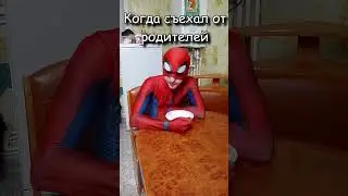 Съехал от родителей 
