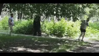 реакция