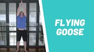 flying goose