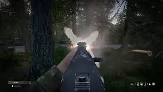 Серьезные игры в DayZ Reality