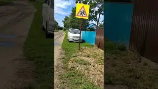 Где то черные перебегают дорогу #shorts