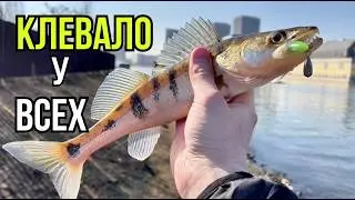 Ultralight Fishing on the Moskva River: Escaping the Flood in the City Center