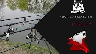 RF4! РР4! Русская Рыбалка 4! Половим рыбку? Где мы еще не были?!)