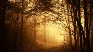 A Past Forgotten