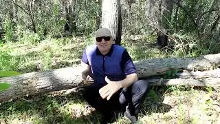 Когда- то- Кавер #шансонлучшеепесни #