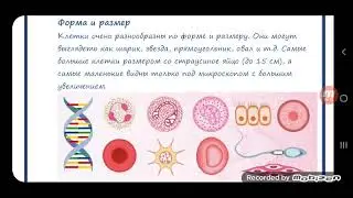 Биология - наука о живом мире. 5 класс. Ридель Елена.