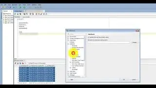 Custom date time format in Oracle SQL Developer?