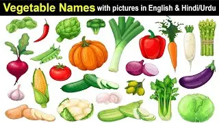 सब्जियों के नाम|| vegetable Name|| हिंदी और इंग्लिश में सब्जियों के नाम|| Vegetable Name ke photo