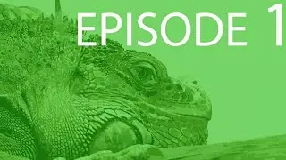 Episode 1 - Introduction to Biology