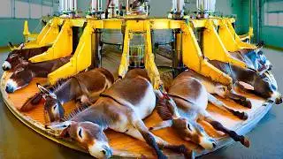 Mass Production Processes You Should See Before You Die