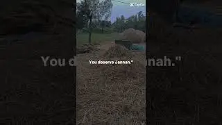 Allah says I send you to earth to test you❤️❤️