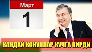 УЗБЕКИСТОНДА 1- МАРТДАН КАНДАЙ ЯНГИ КОНУНЛАР КУЧГА КИРАДИ БАРЧА УЗБЕК ХАЛКИ КУРСИН
