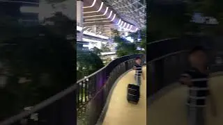 Сад тропических растений в аэропорту Дохи